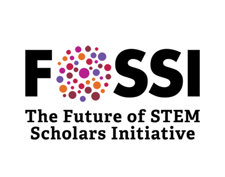 The Future of STEM Scholars Initiative Logo